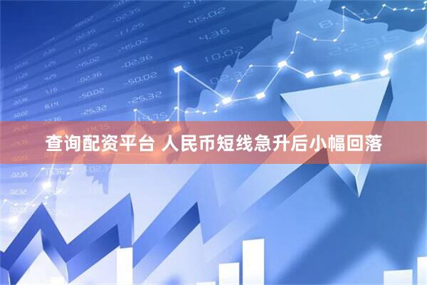 查询配资平台 人民币短线急升后小幅回落